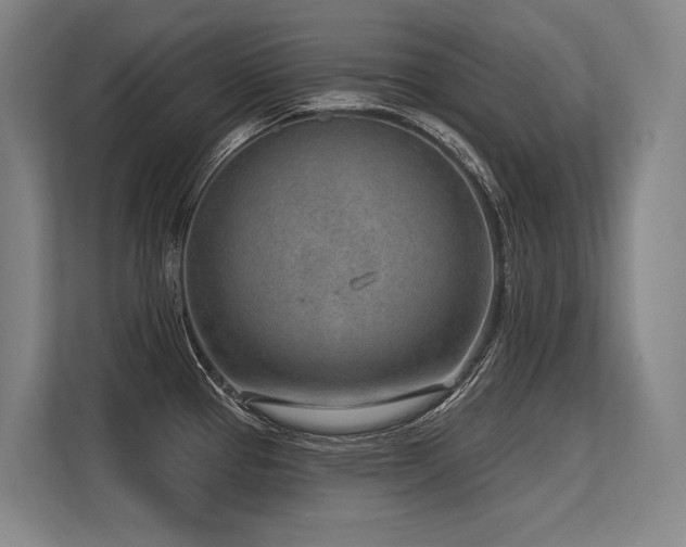 X0000113631337200909181509