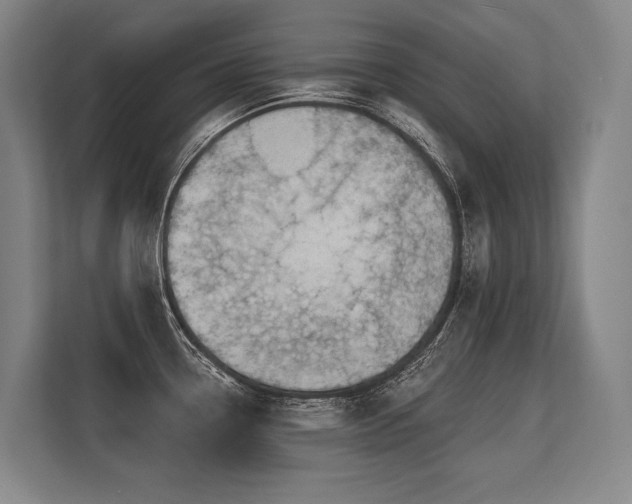 X0000113631338200909181509