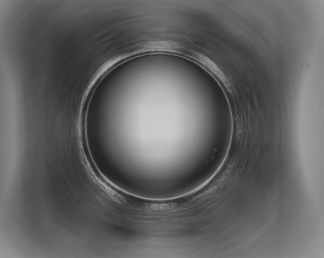 X0000113631339200909181509