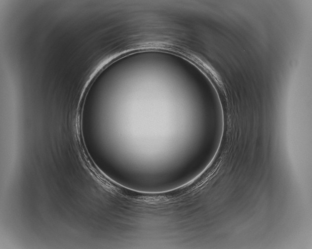 X0000113631340200909181509