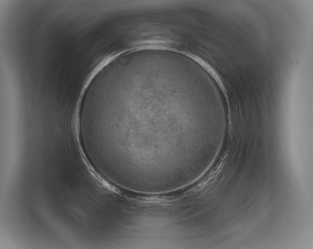 X0000113631341200909181509