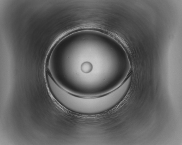 X0000113631342200909181509