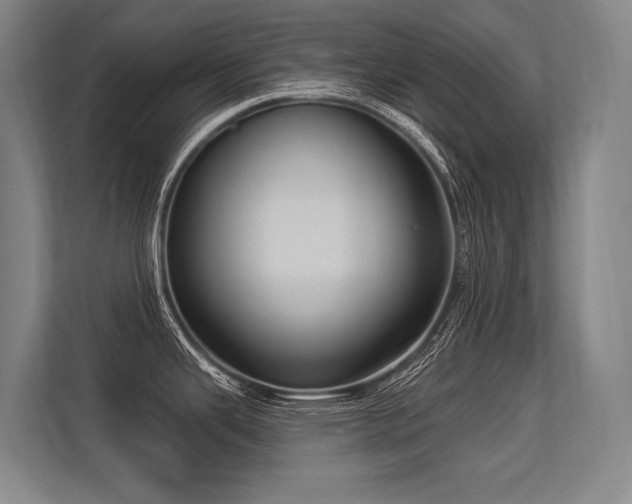 X0000113631343200909181509