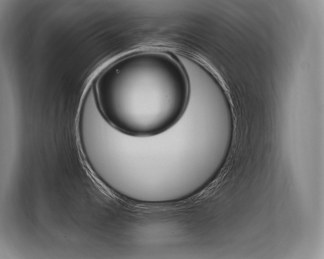 X0000113631344200909181509