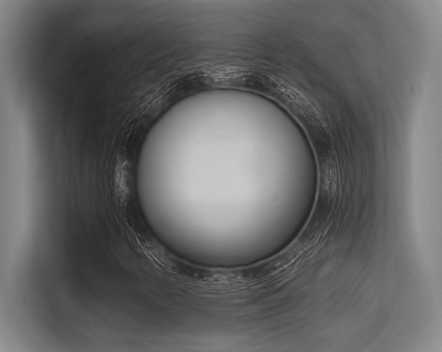 X0000113631346200909181508