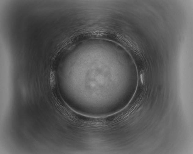 X0000113631347200909181508