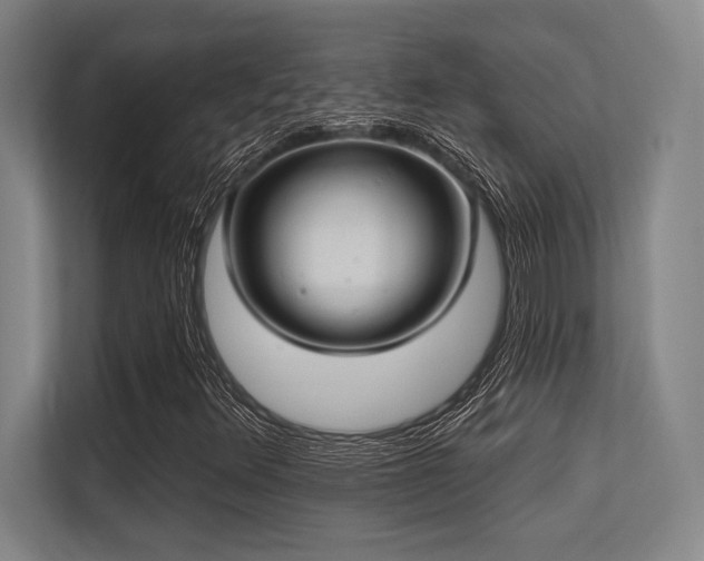 X0000113631348200909181508