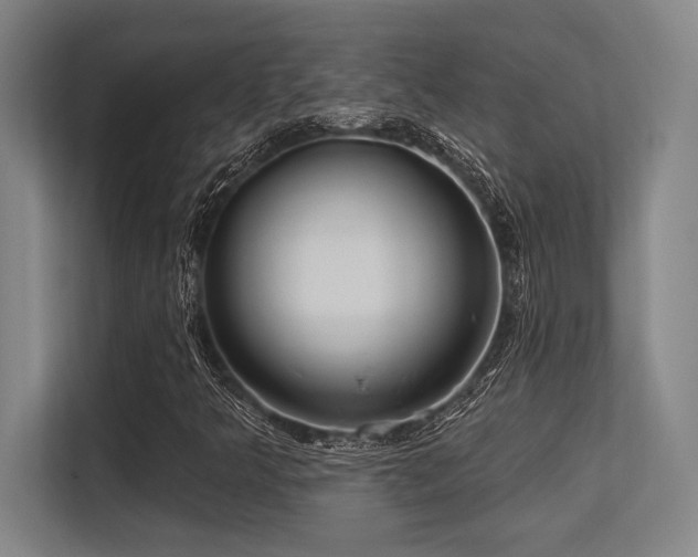X0000113631349200909181508
