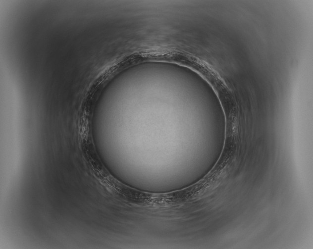 X0000113631350200909181508