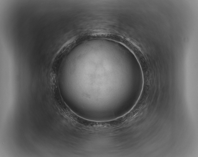X0000113631351200909181508
