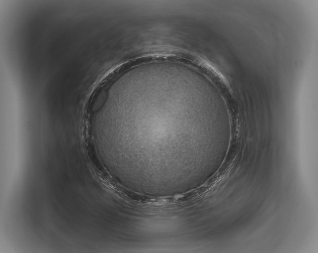X0000113631352200909181508