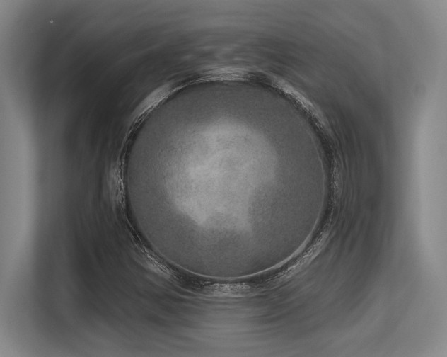 X0000113631354200909181508