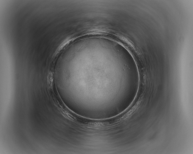 X0000113631355200909181508