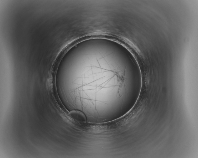 X0000113631356200909181508