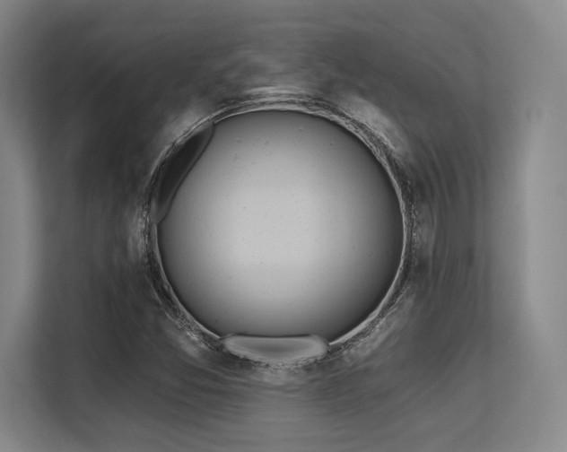 X0000113631357200909181508