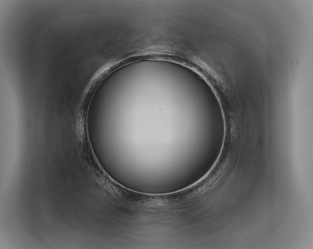 X0000113631358200909181508