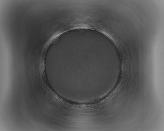 X0000113631359200909181508