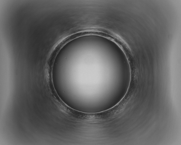 X0000113631360200909181508