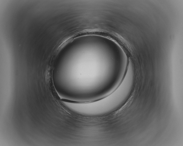 X0000113631361200909181508