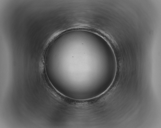 X0000113631363200909181508