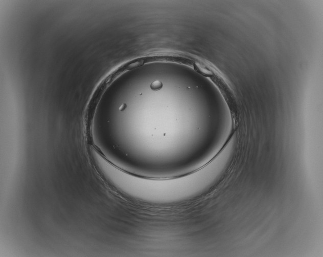 X0000113631364200909181508