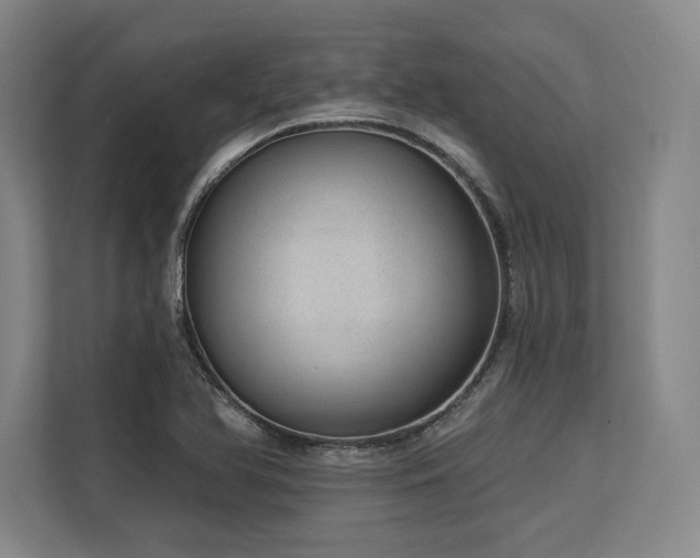 X0000113631366200909181508