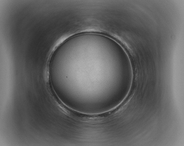 X0000113631367200909181508