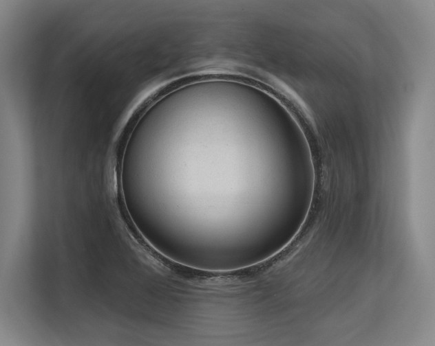 X0000113631368200909181508