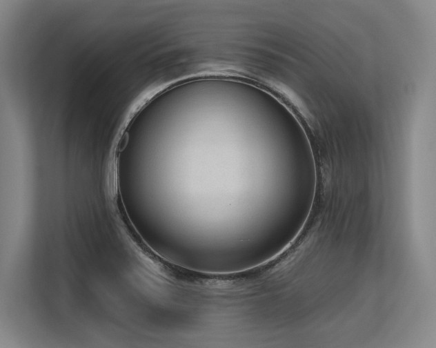 X0000113631371200909181508