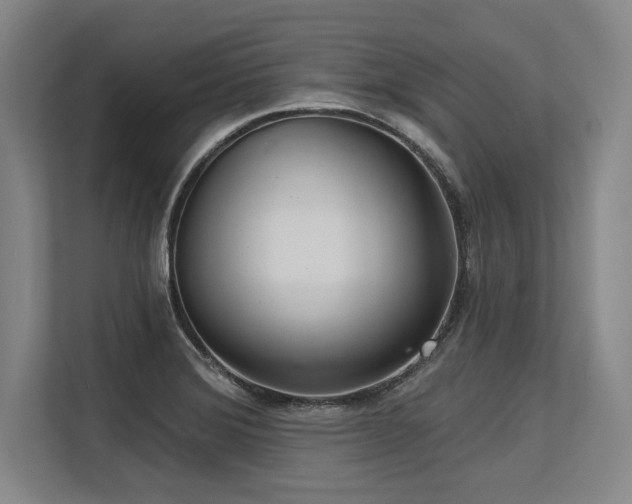X0000113631372200909181508