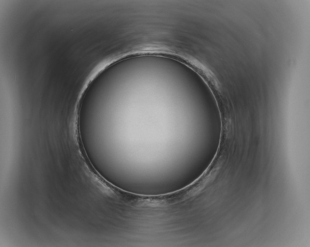 X0000113631374200909181508