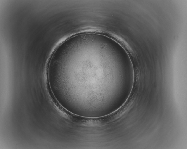 X0000113631375200909181508