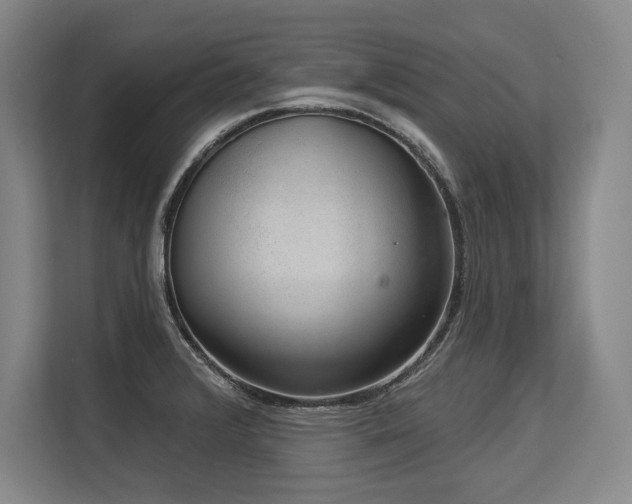 X0000113631376200909181508