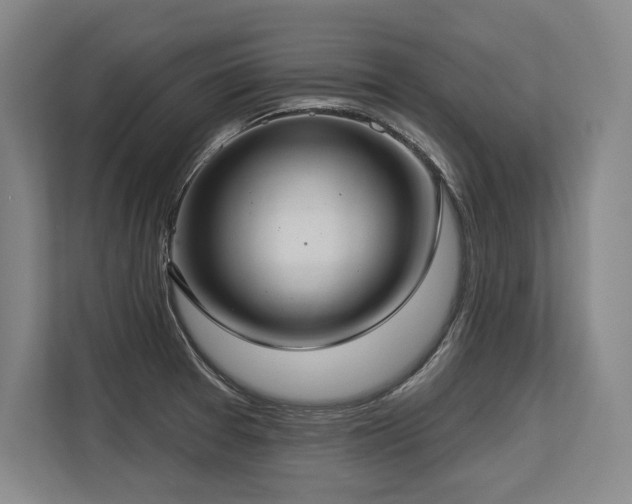 X0000113631377200909181508