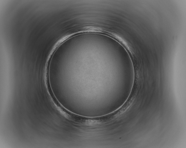 X0000113631379200909181508