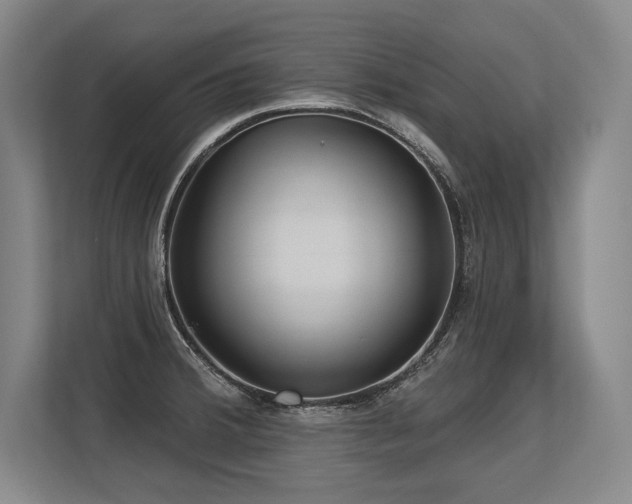 X0000113631380200909181508