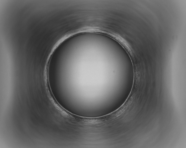 X0000113631382200909181508