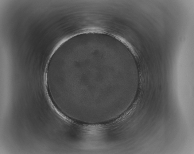 X0000113631383200909181508