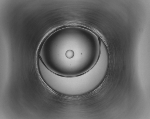 X0000113631384200909181508