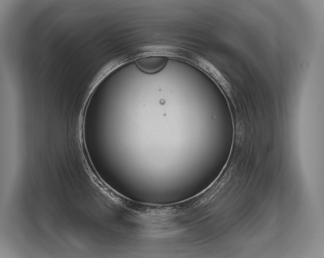 X0000113631386200909181508