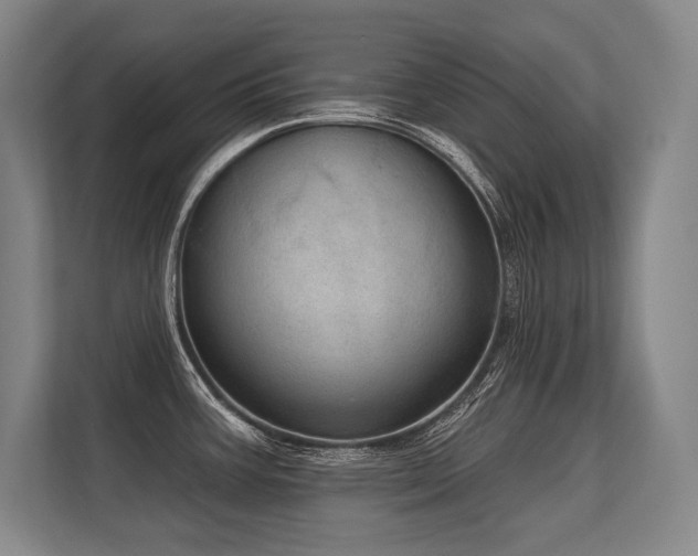 X0000113631387200909181508