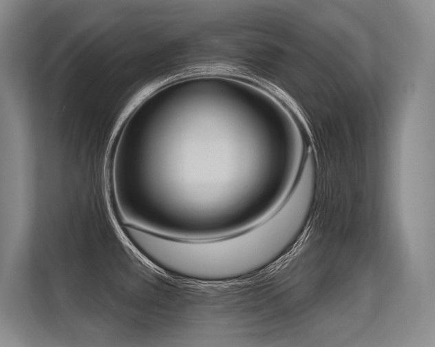 X0000113631389200909181508