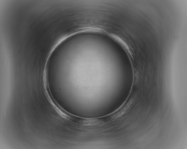 X0000113631391200909181508