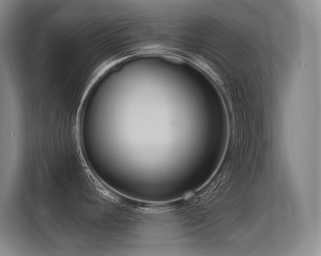 X0000113631392200909181508