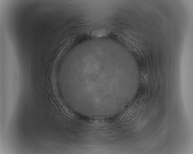 X0000113631393200909181507