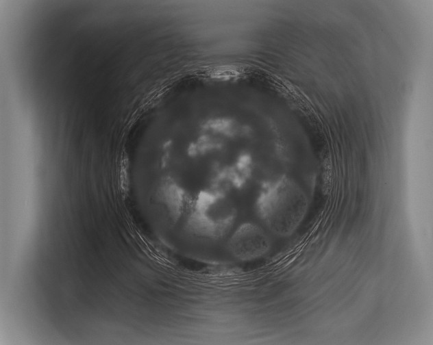 X0000113631394200909181507