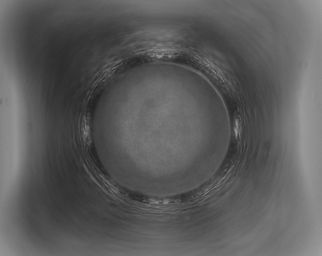 X0000113631396200909181507