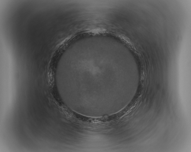 X0000113631398200909181507