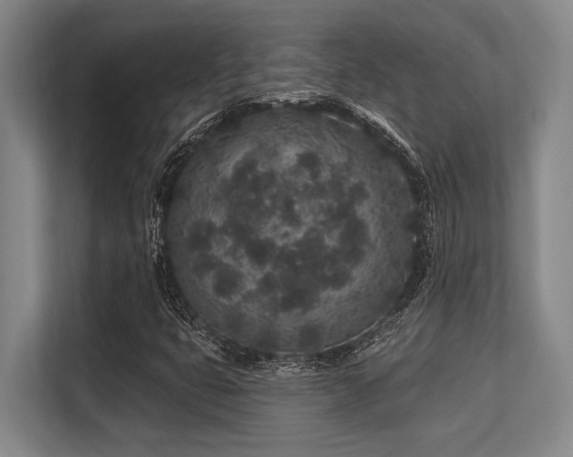 X0000113631399200909181507