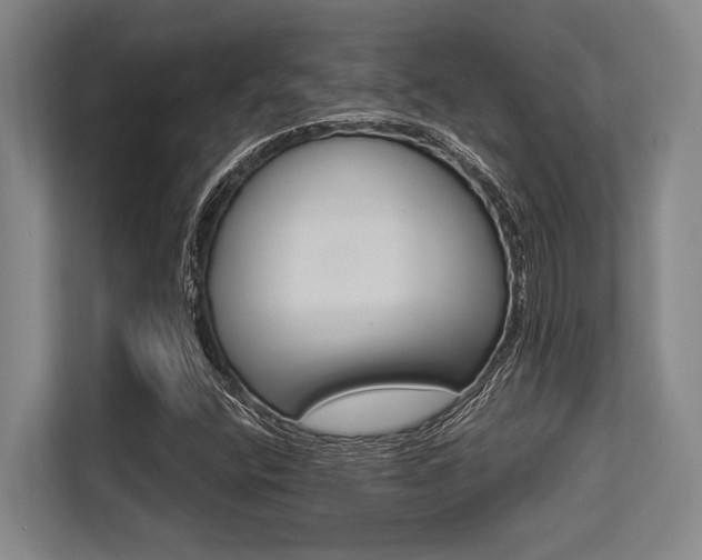 X0000113631400200909181507